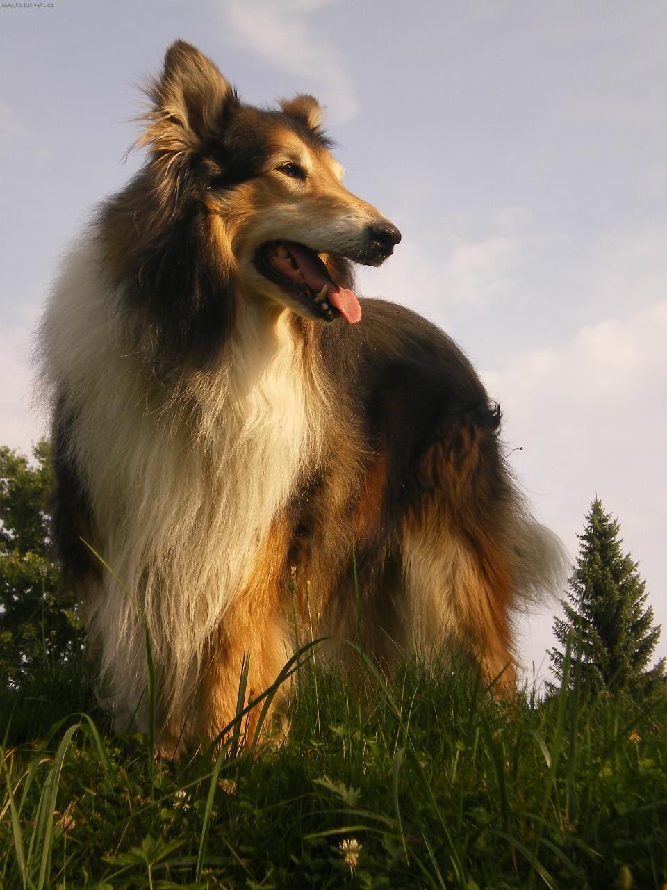 Foto: Gigi Krása samoty