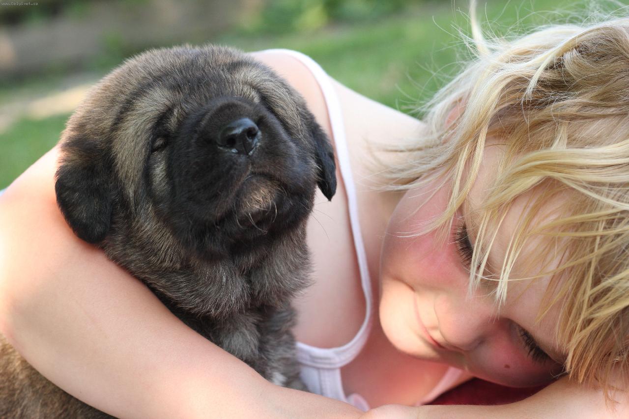 Foto: CHS z Polabských blat-Štěňátko z vrhu D a naše Maruška.