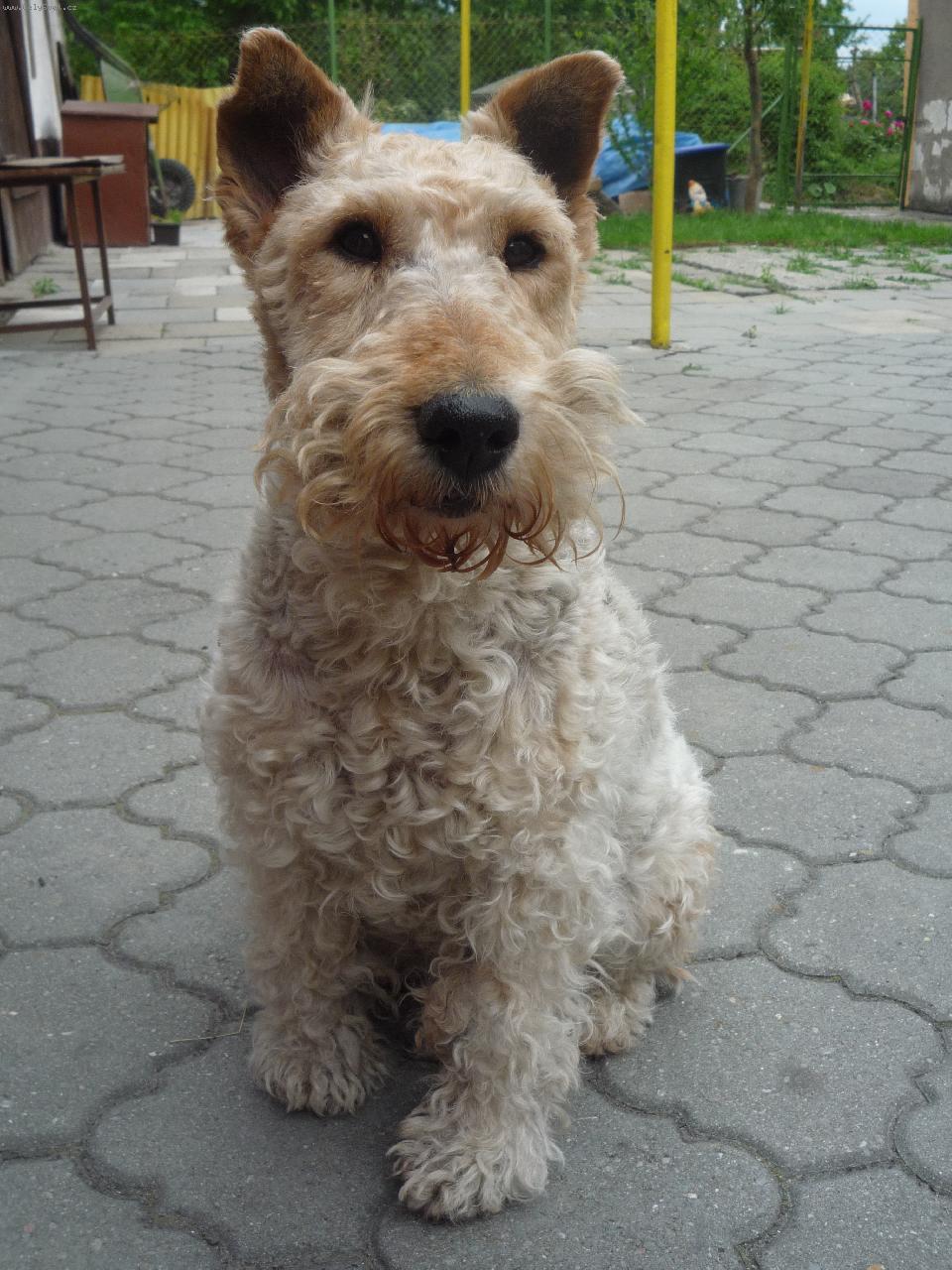 Foto: pojd´ za mnou-Bella