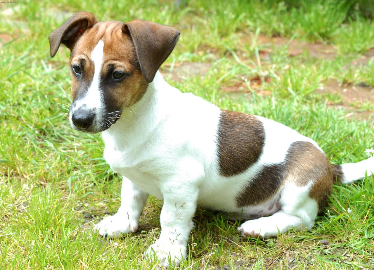 Foto: Ríša pozorovatel