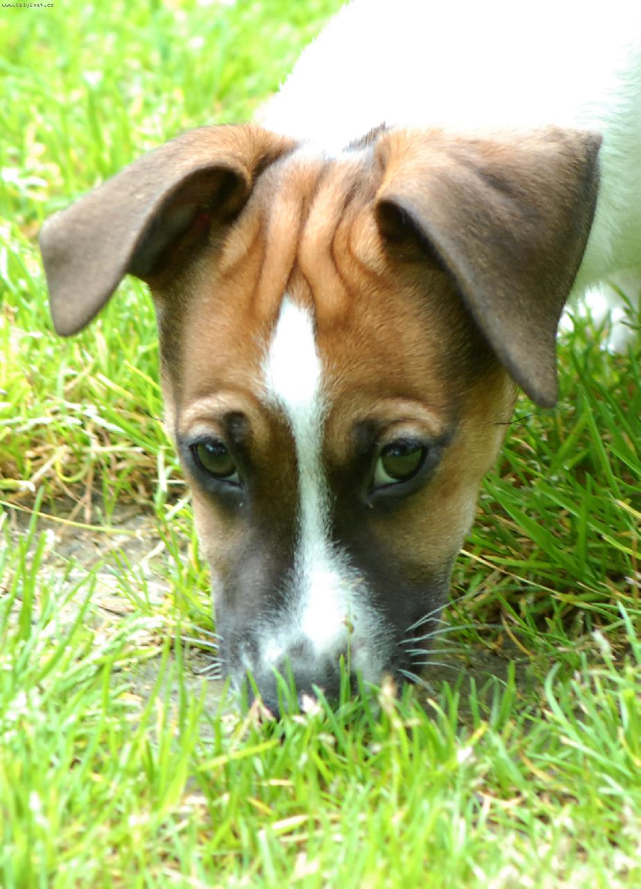 Foto: Tak malej a tolik vrásek