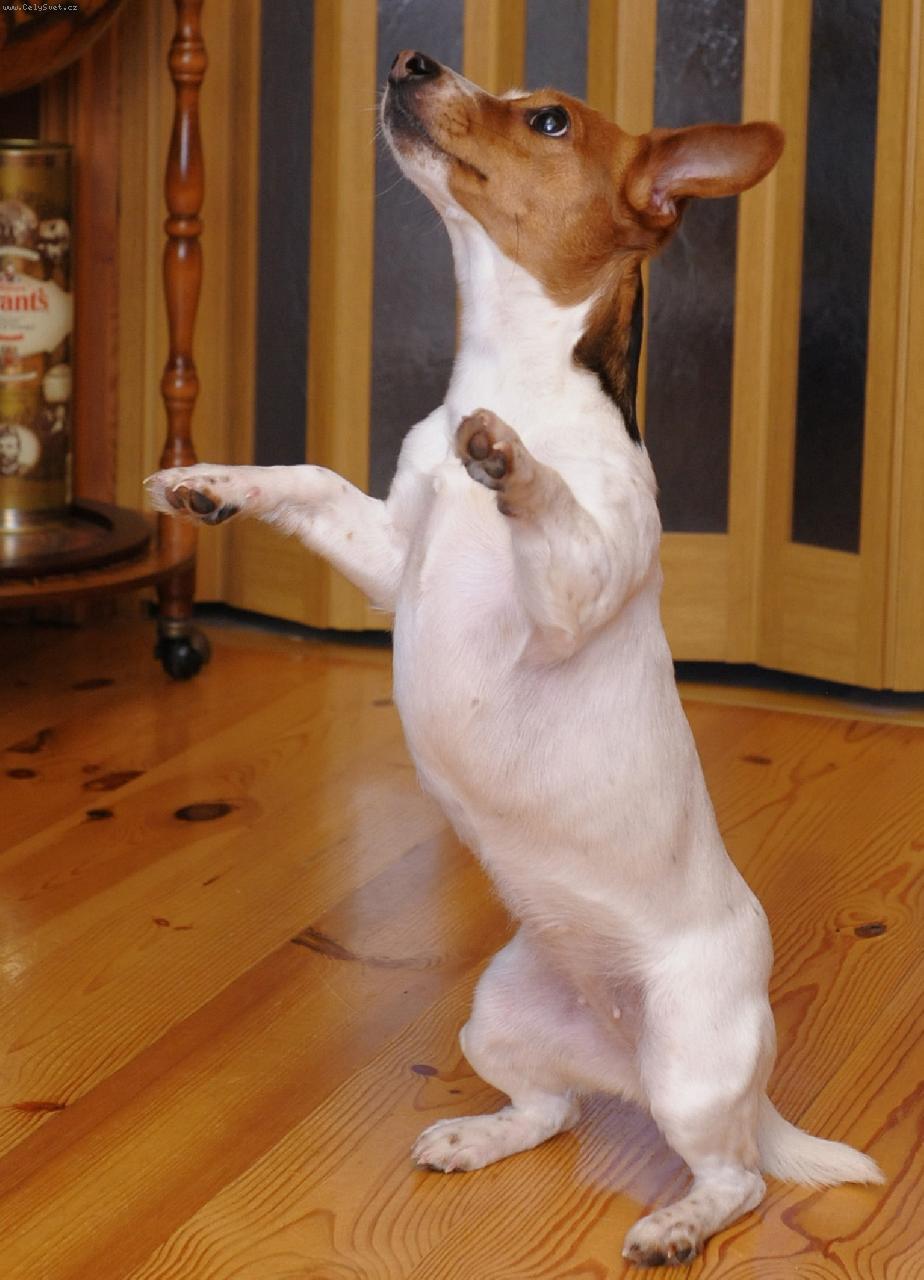 Foto: Naše malá Kačenka