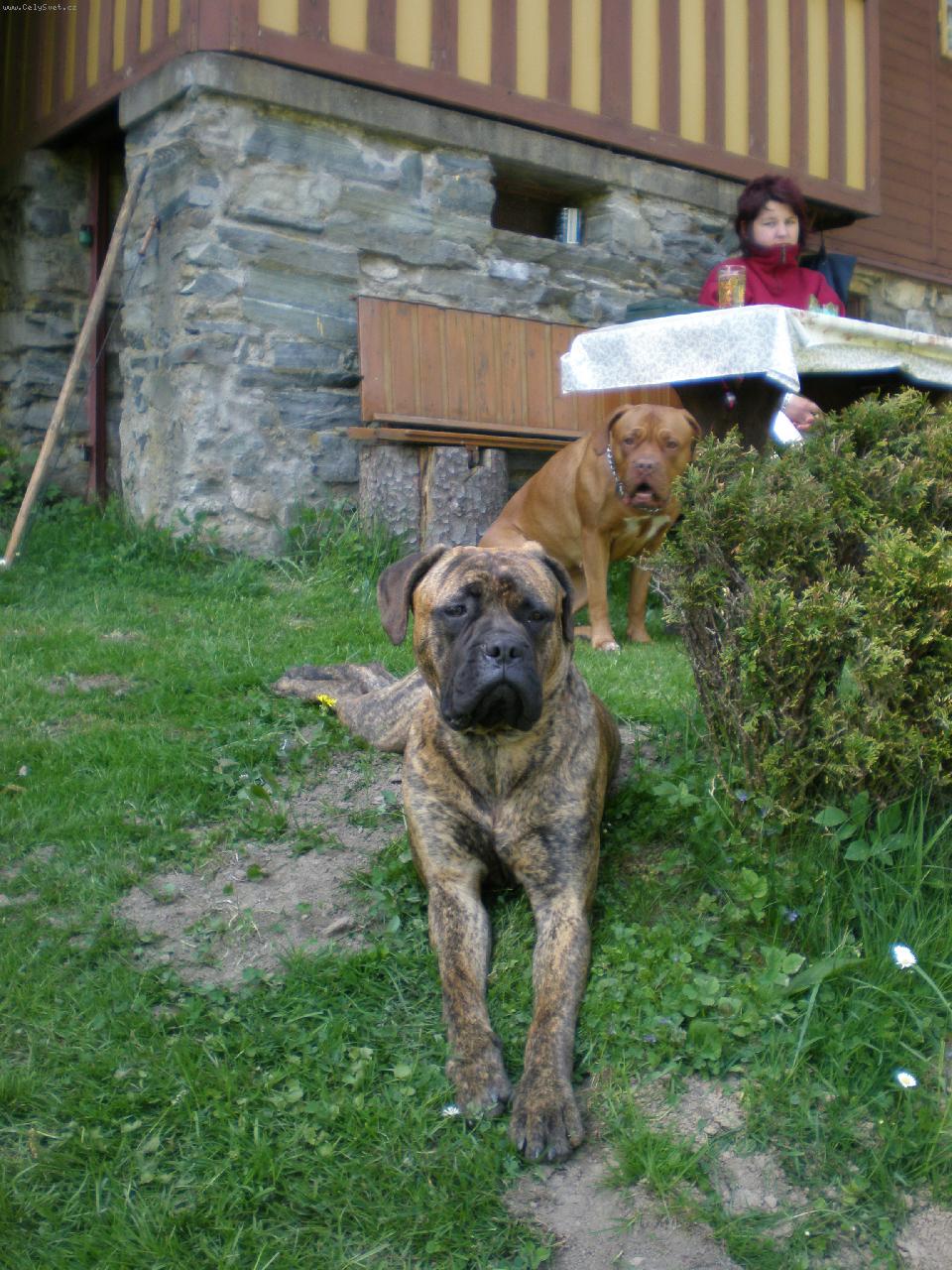 Foto: Kámošky-Sárynka a Arletka