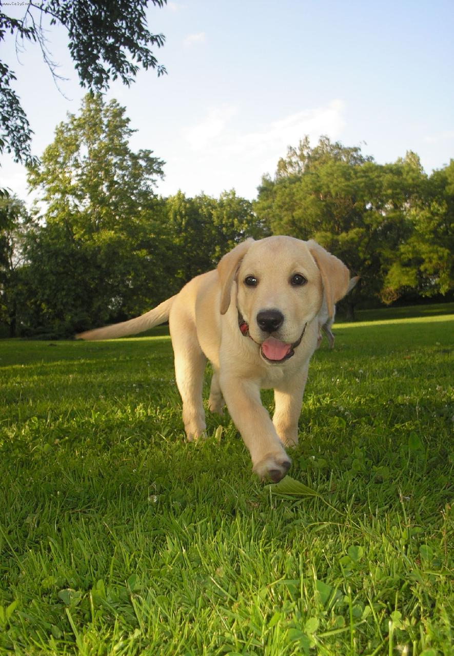 Foto: Jamie 2 měsíce