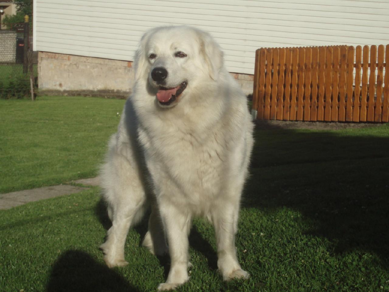 Foto: Ascha-právě dva roky