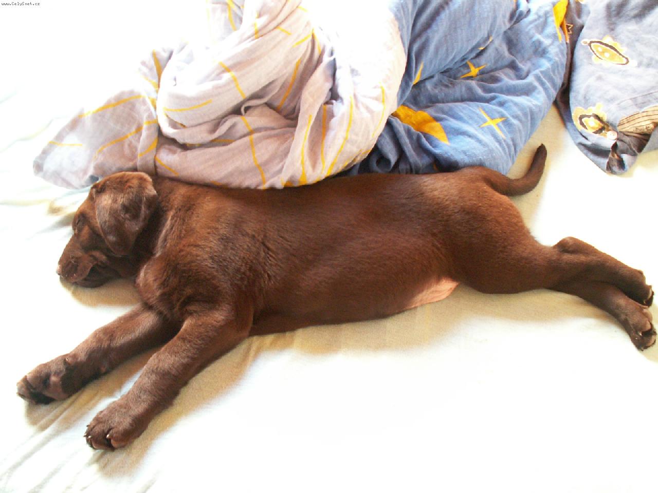 Foto: Baárný-juuujíík no není rozkošnej??:-)