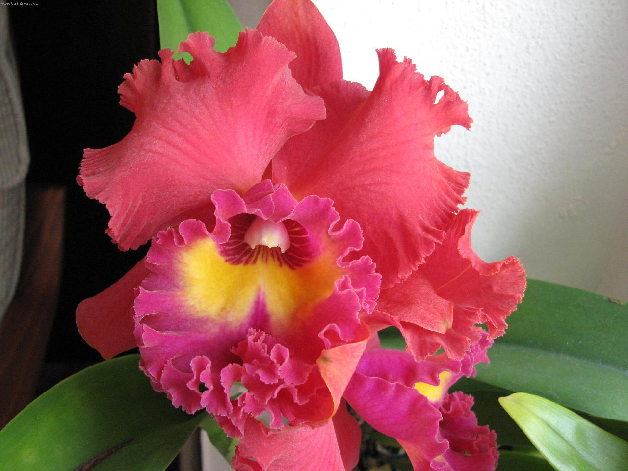 Foto: Lc. TAINAN CITY¨ "General"