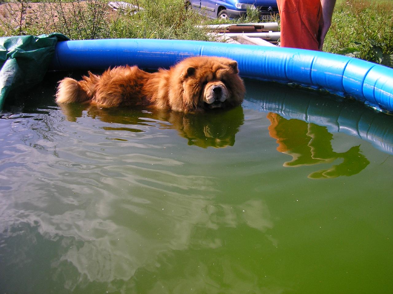 Foto: letní cachtání