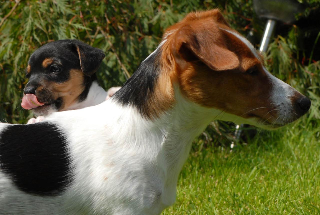 Foto: Kačenka a Adámek