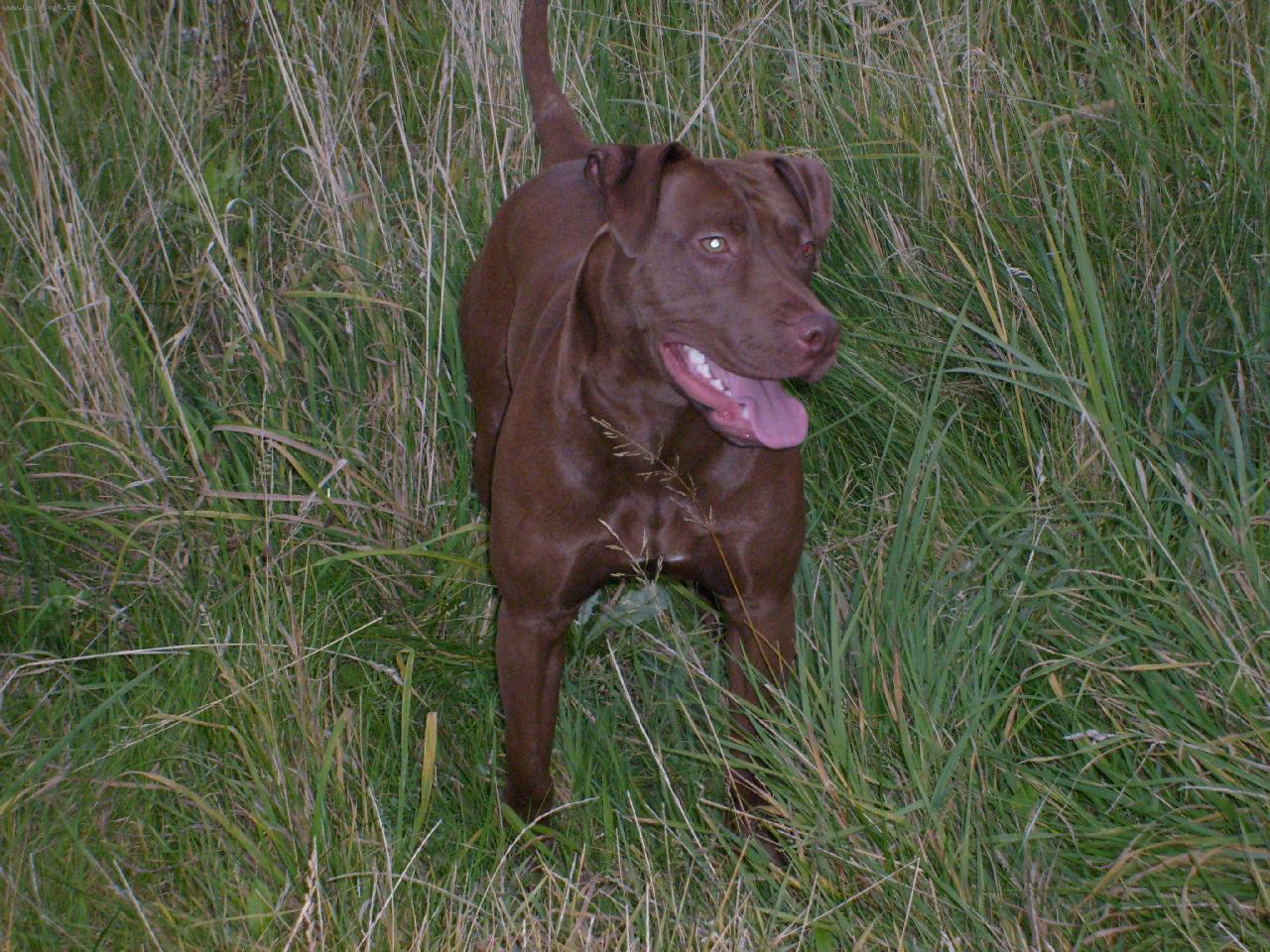 Foto: NAOMI-TAK SE CÍTÍ NEJLÉPE