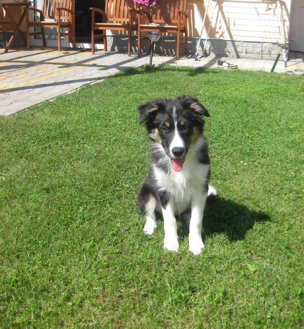 Foto: Bibinka-Bibinka ve 3 měsících