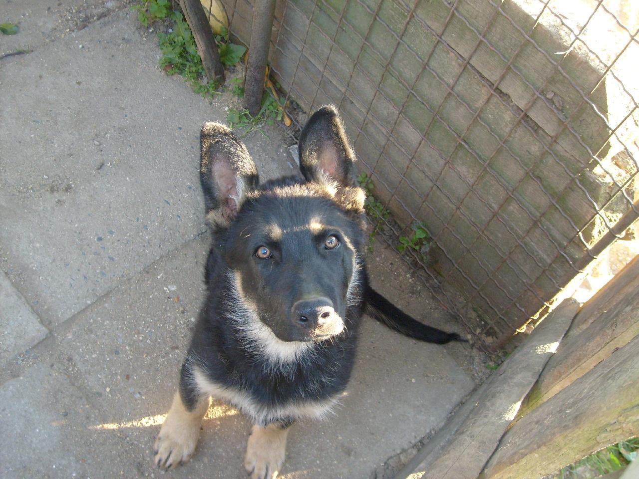 Foto: BEN-Ben kouká