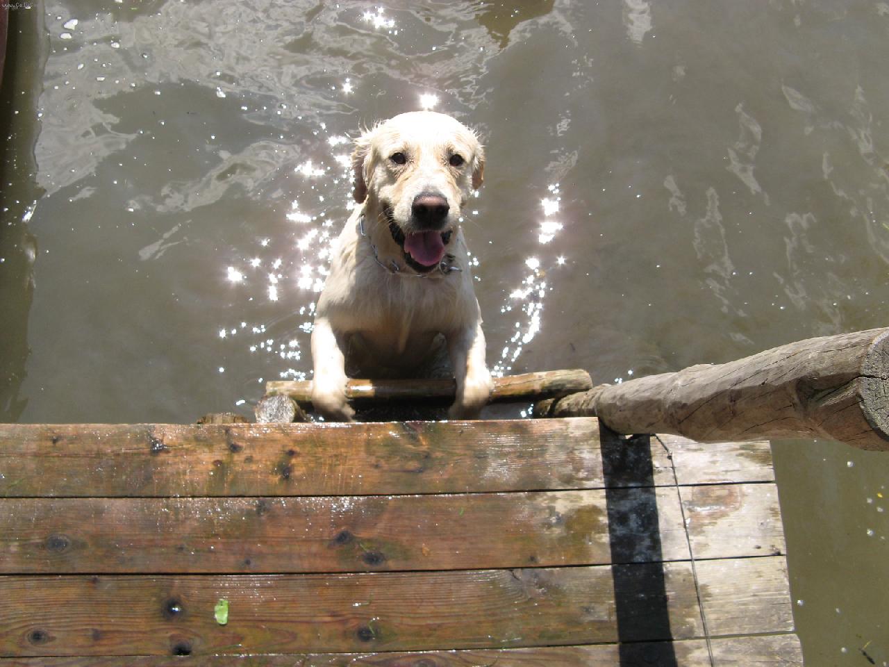 Foto: Astien-Tak co půjdeš do vody??