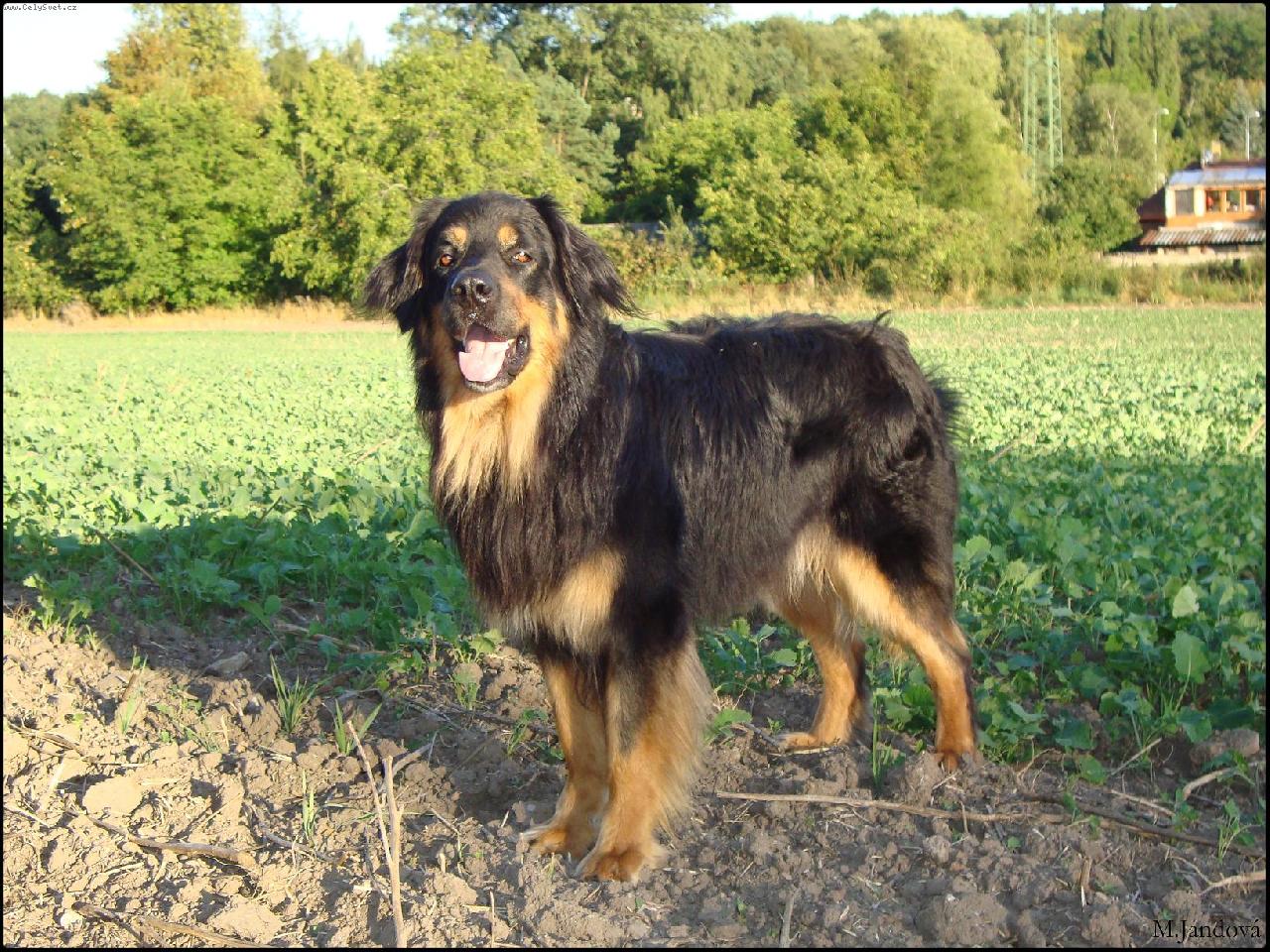 Foto: DOCENT v.Philippsdorf