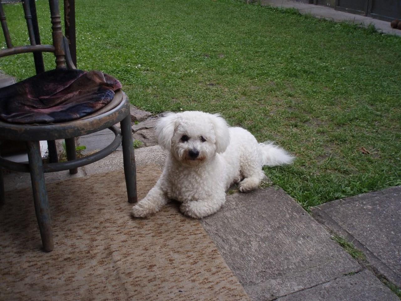 Foto: Náše zlato Endy