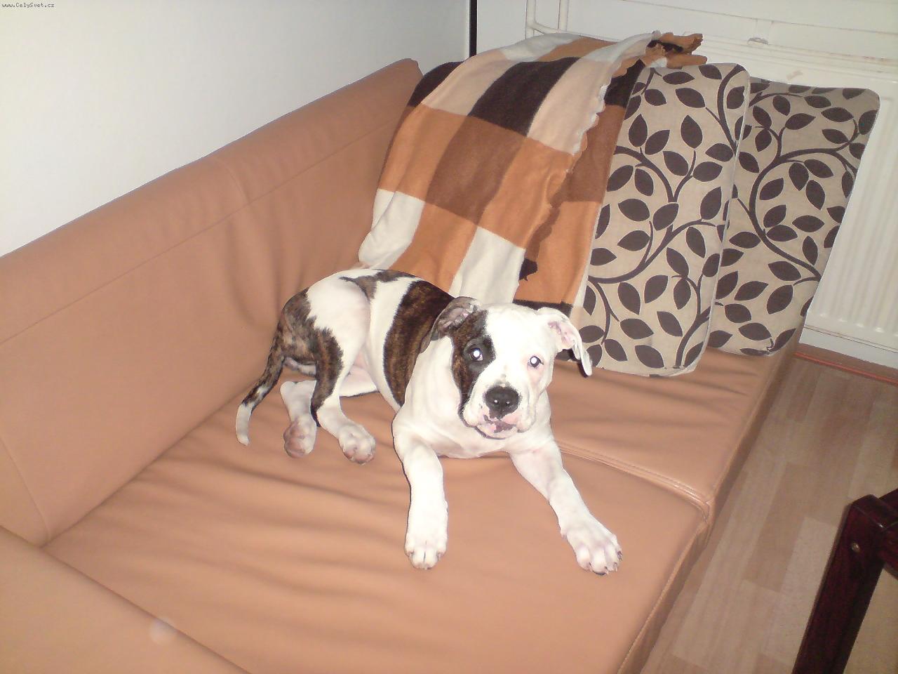 Foto: Freya-5měsíců