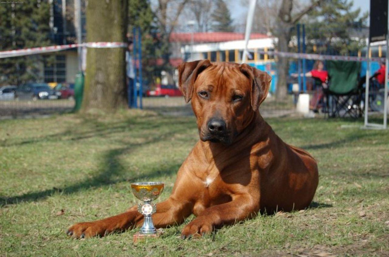 Foto: Jch. CH. Ntchwaidumela East Luis-Tatínek