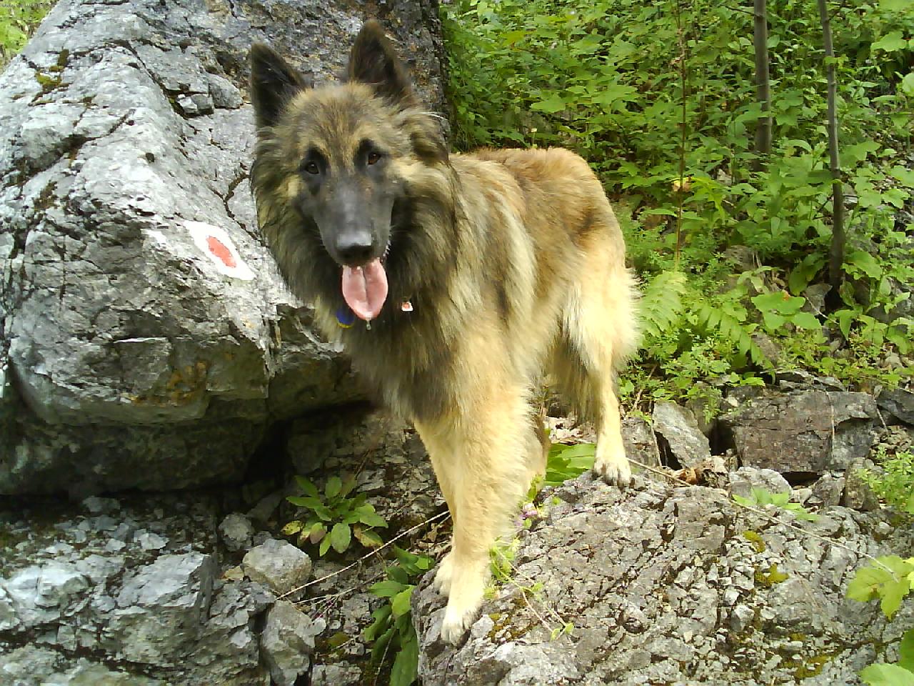 Foto: BASKO Almur Royal-na výlete