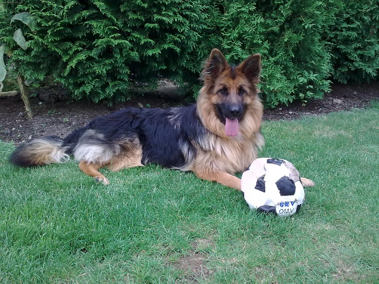 Foto: Dixinka je prostě fotbalistka č.1 :-)