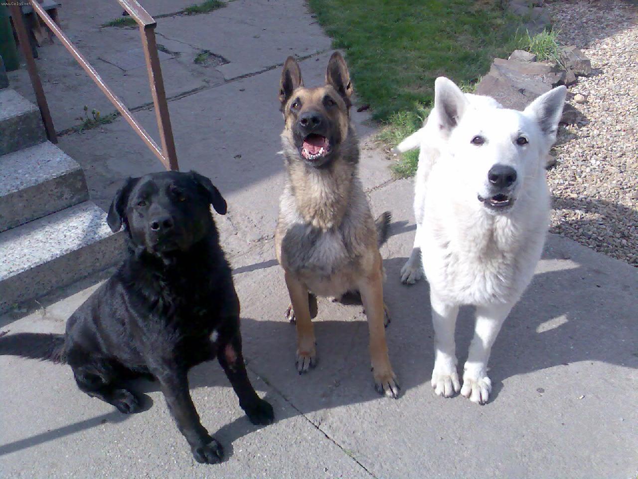 Foto: Bagir Happy Arenda-Bak a jeho kamarádi