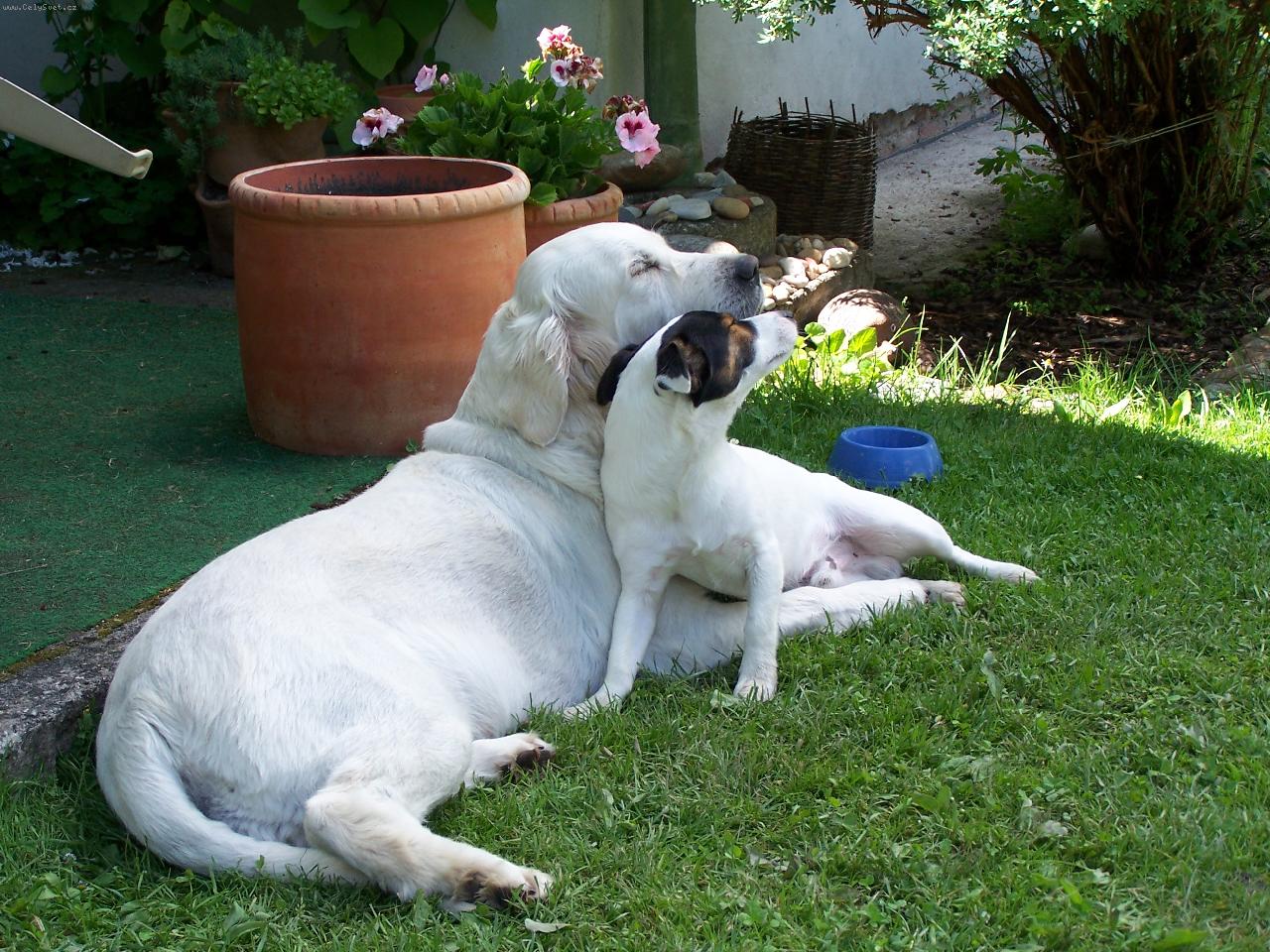 Foto: Hugo a Rozárka-láska