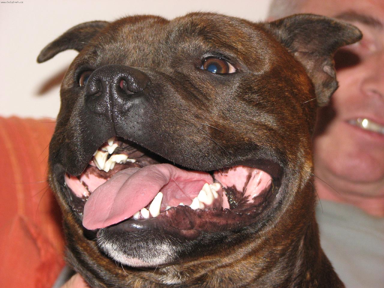 Foto: Úsměv-Úsměv