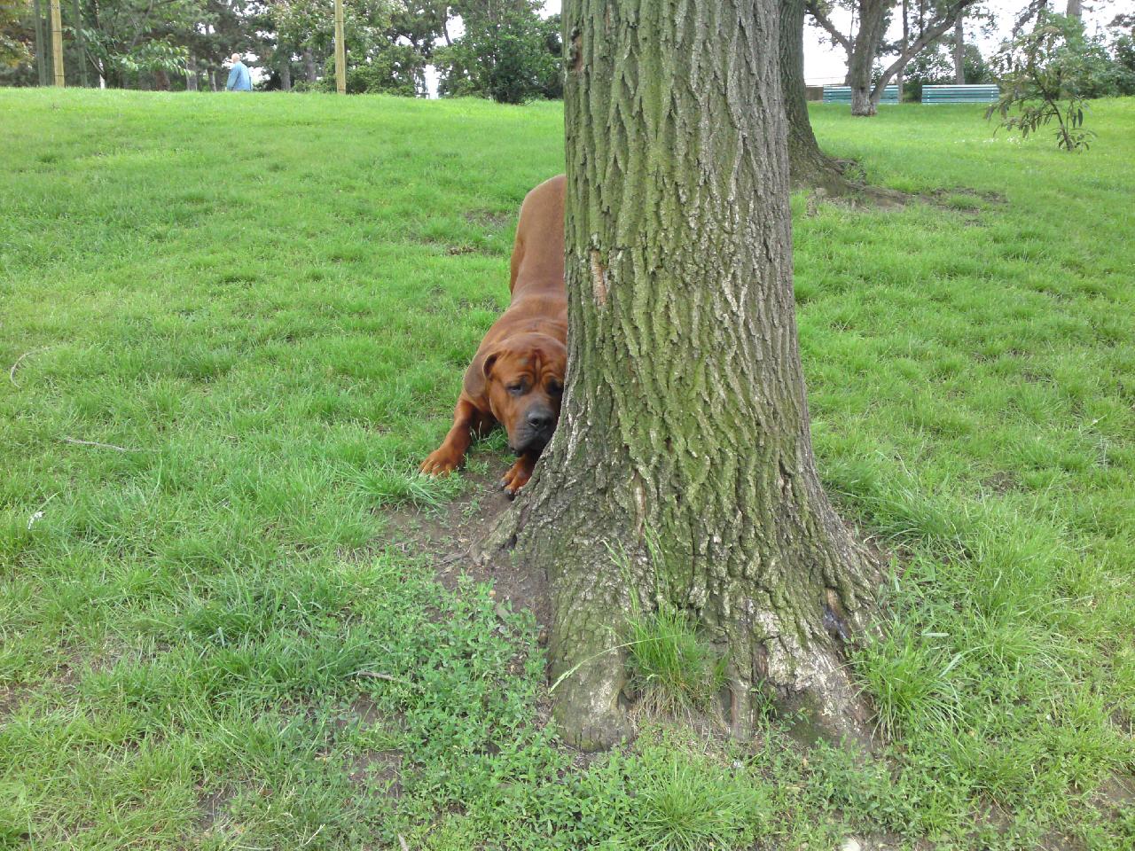 Foto: Gorbík, jako brankář