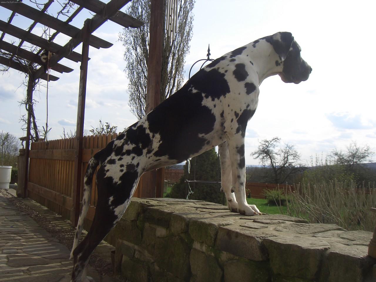 Foto: Kééélišová ...