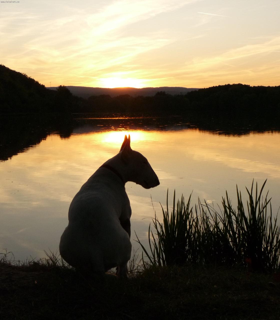 Foto: Romantička Roda