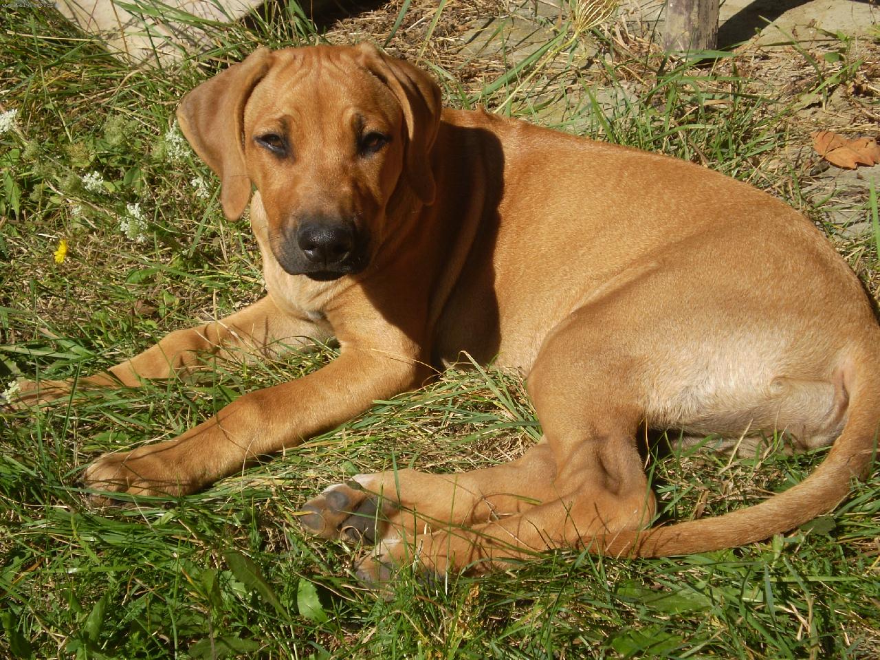 Foto: Bonnie-Na sluníčku