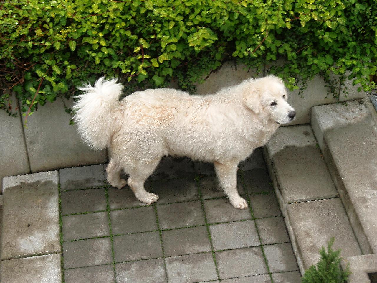 Foto: Andy-Andy 10 měsíců