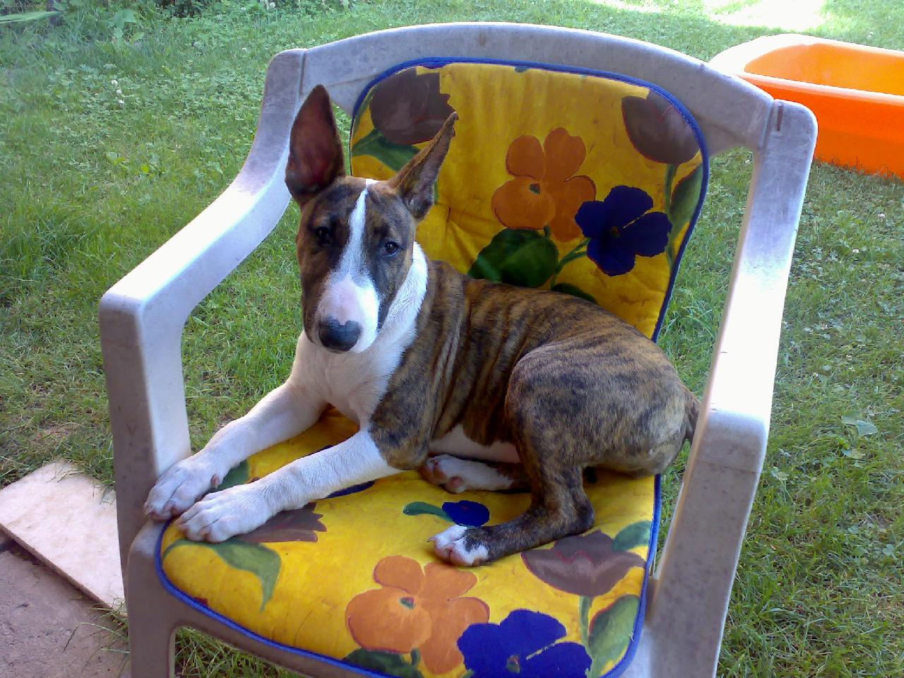 Foto: Nelinka-Na zahradě