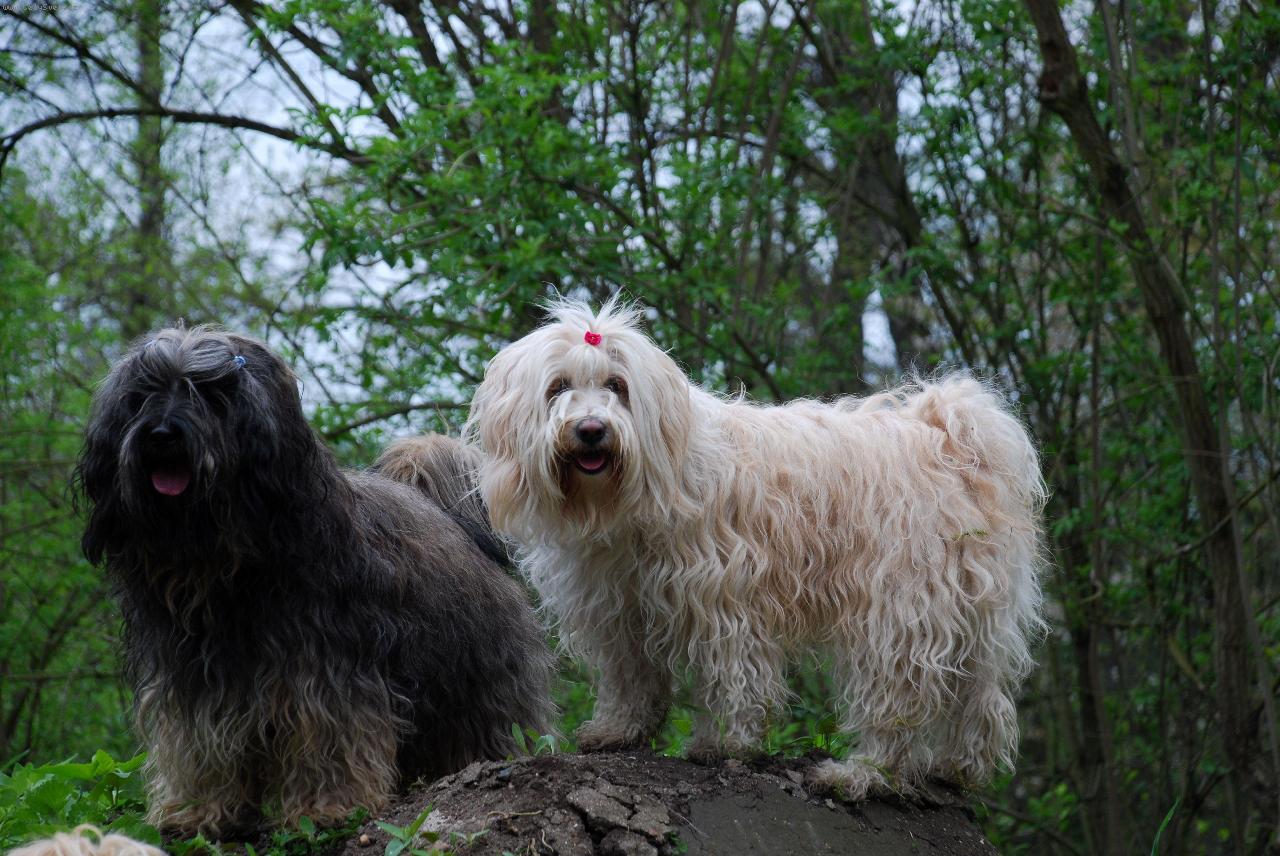 Foto: Siddhi a Byemka-bráška a starší sestřička