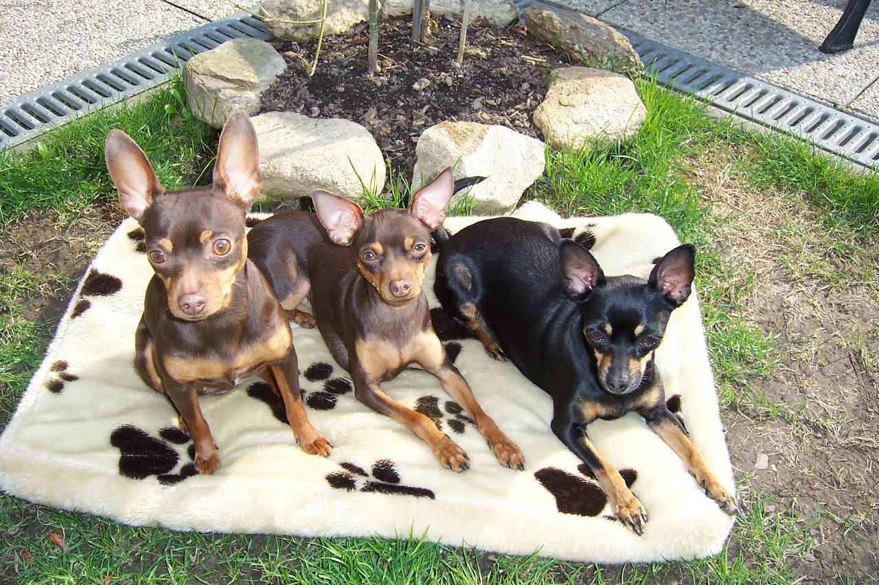 Foto: holky jaro 2010