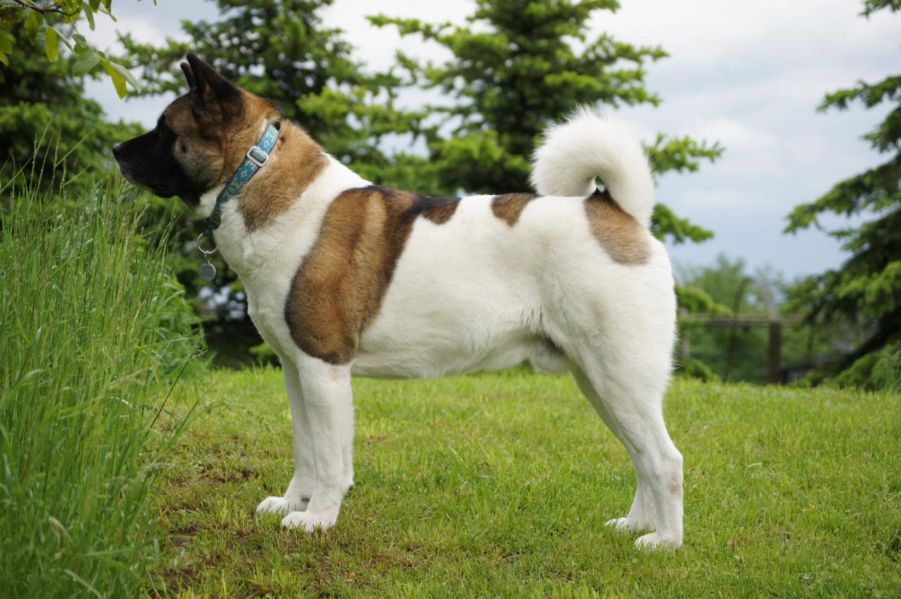 Foto: Bright Bodie Cid-lake-Postoj