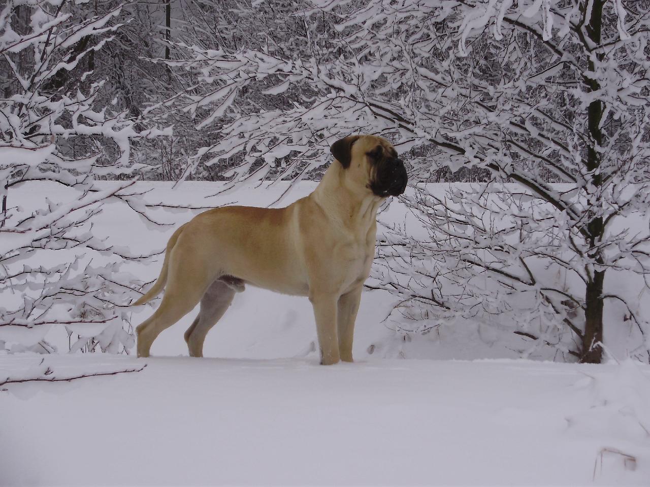 Foto: Gordon Naděje ze Zvole