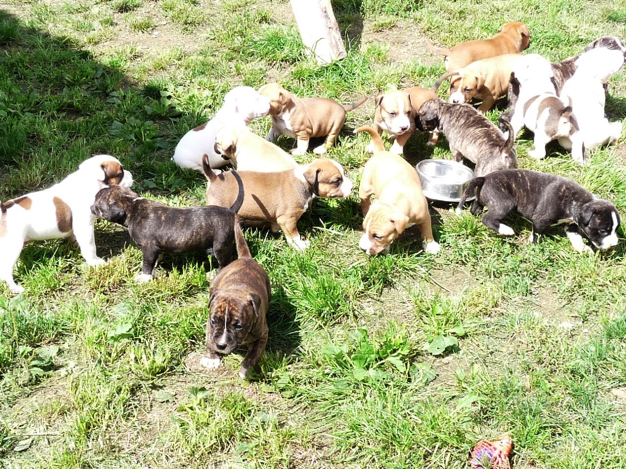 Foto: STAFÍCI-poprvé venku