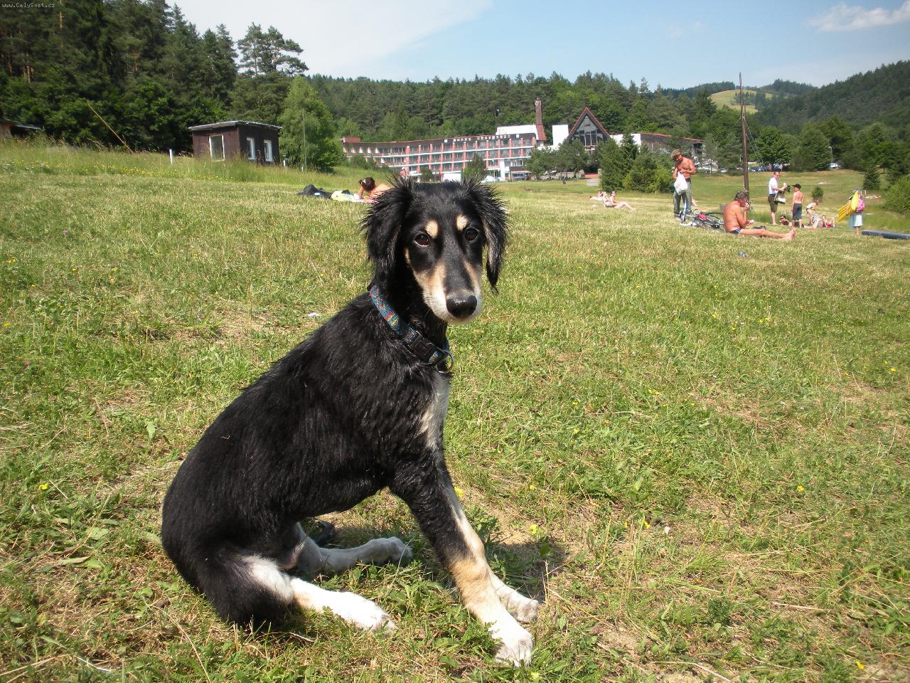 Foto: Atiyah Sayah ( 4 měsíce )