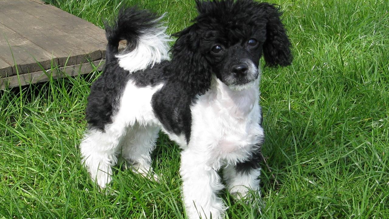 Foto: Lukyna na Zahradě