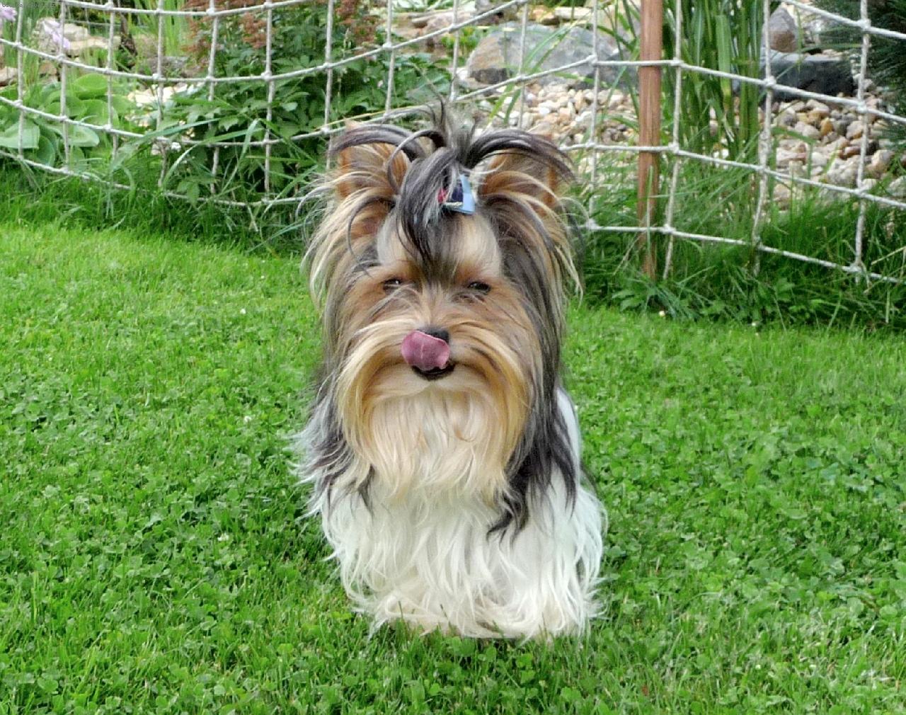 Foto: Gucci-Zas musím pózovat