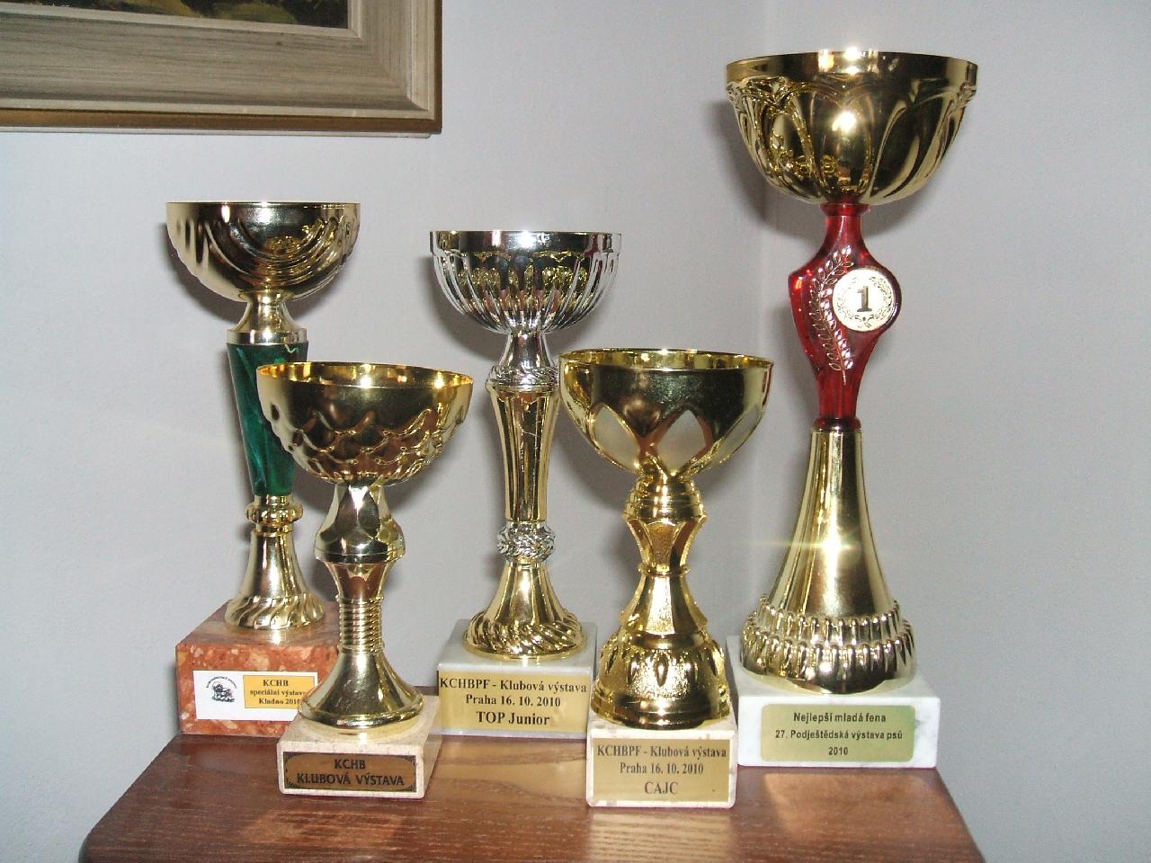 Foto:  Poháry-Náš začátek