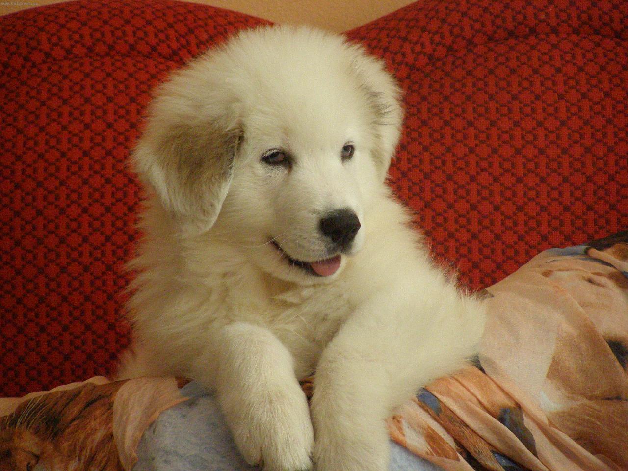 Foto: Lars 3 mesiace