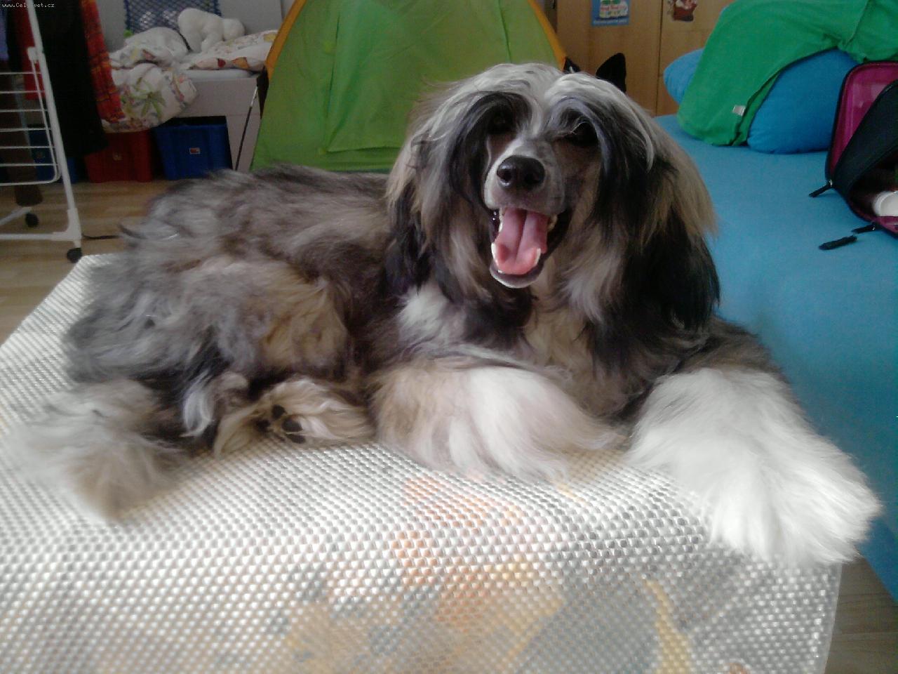 Foto: casino nazarad-casino 9 měsíců