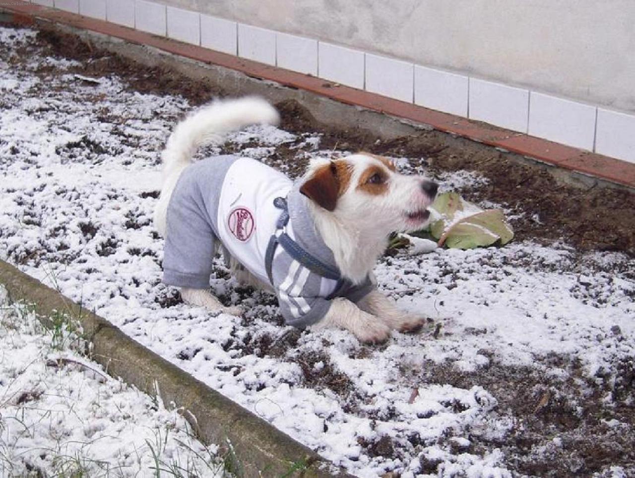 Foto: Jacki-Jacki