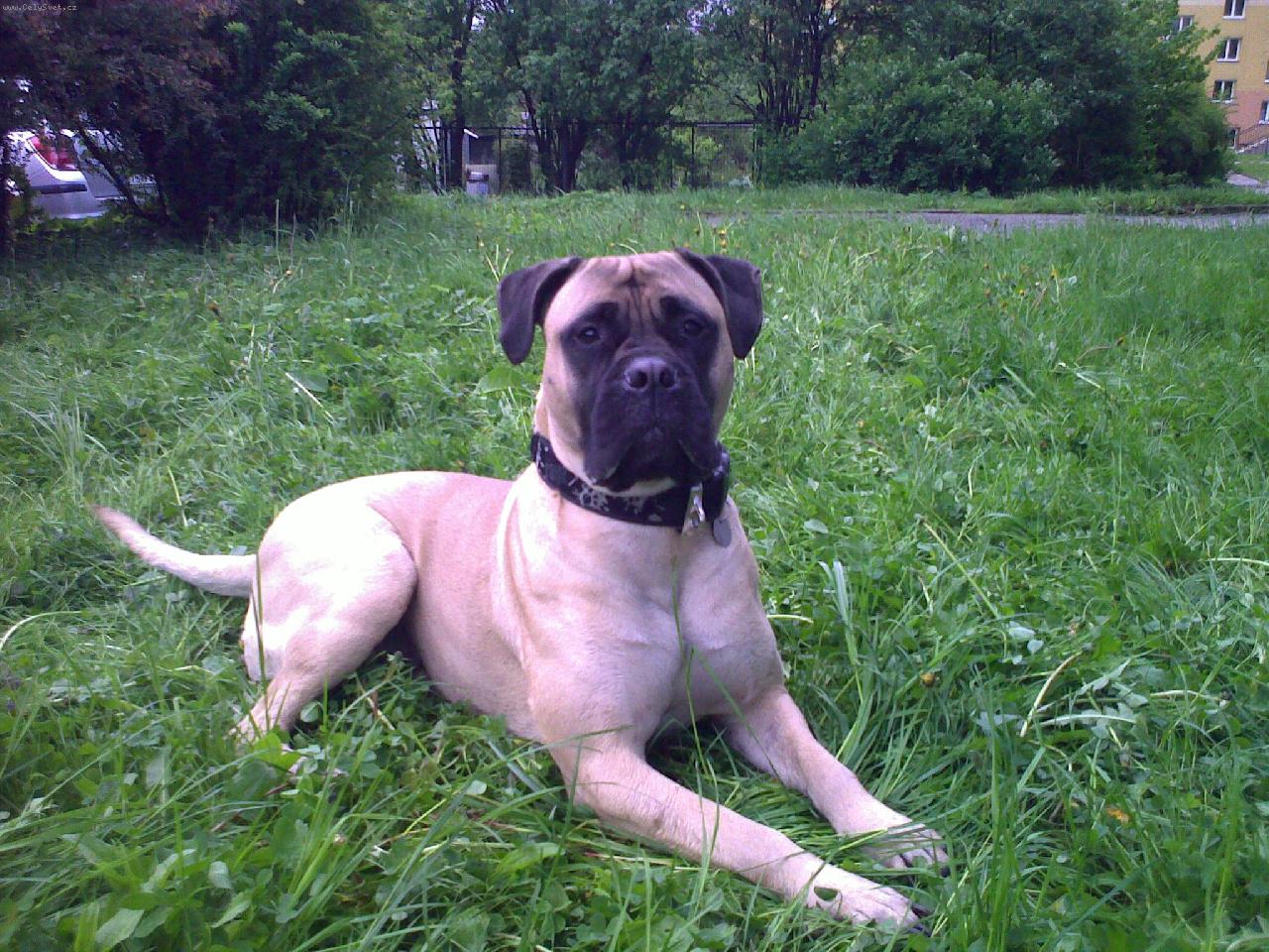 Foto: Fatyma Naděje ze Zvole