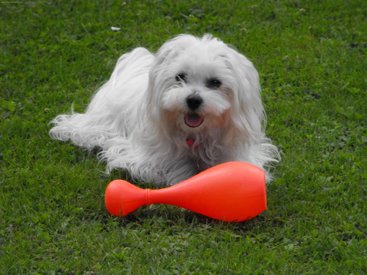 Foto: za nic na světě ji nevrátím-Nádherné horké léto podruhé