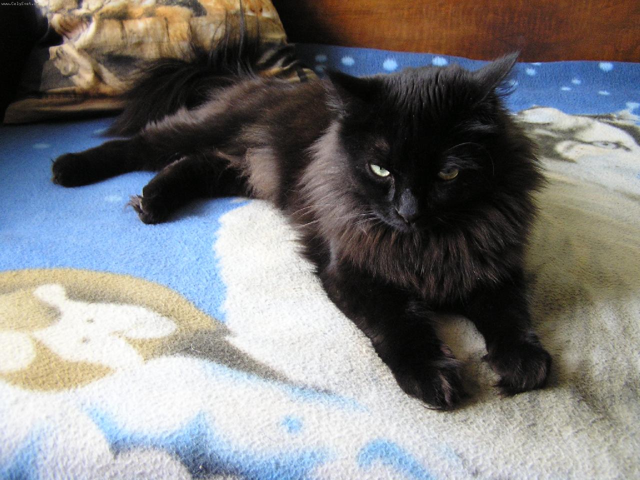 Foto: Bára odpočívá