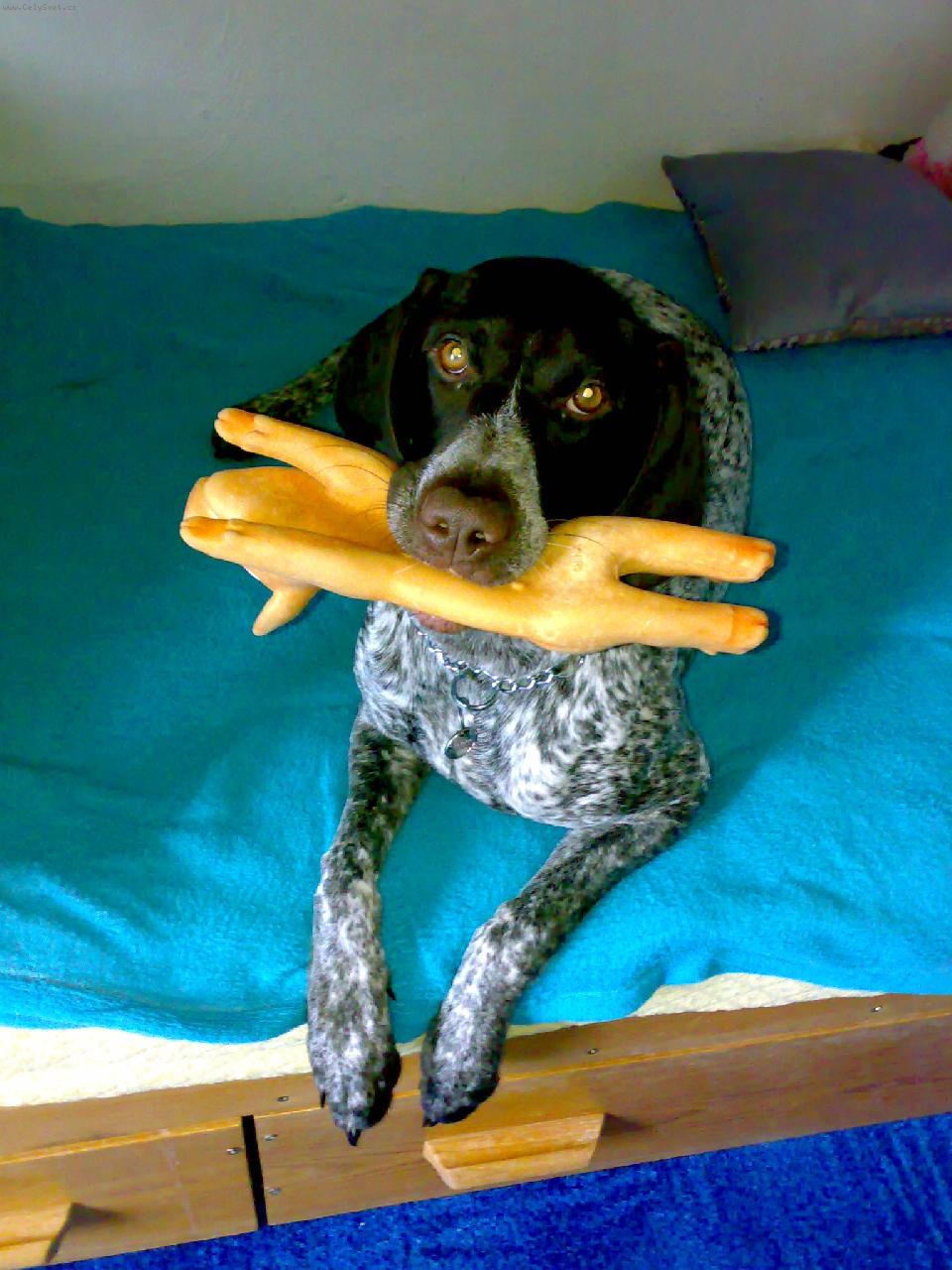 Foto: Merilyn, postelová královna!