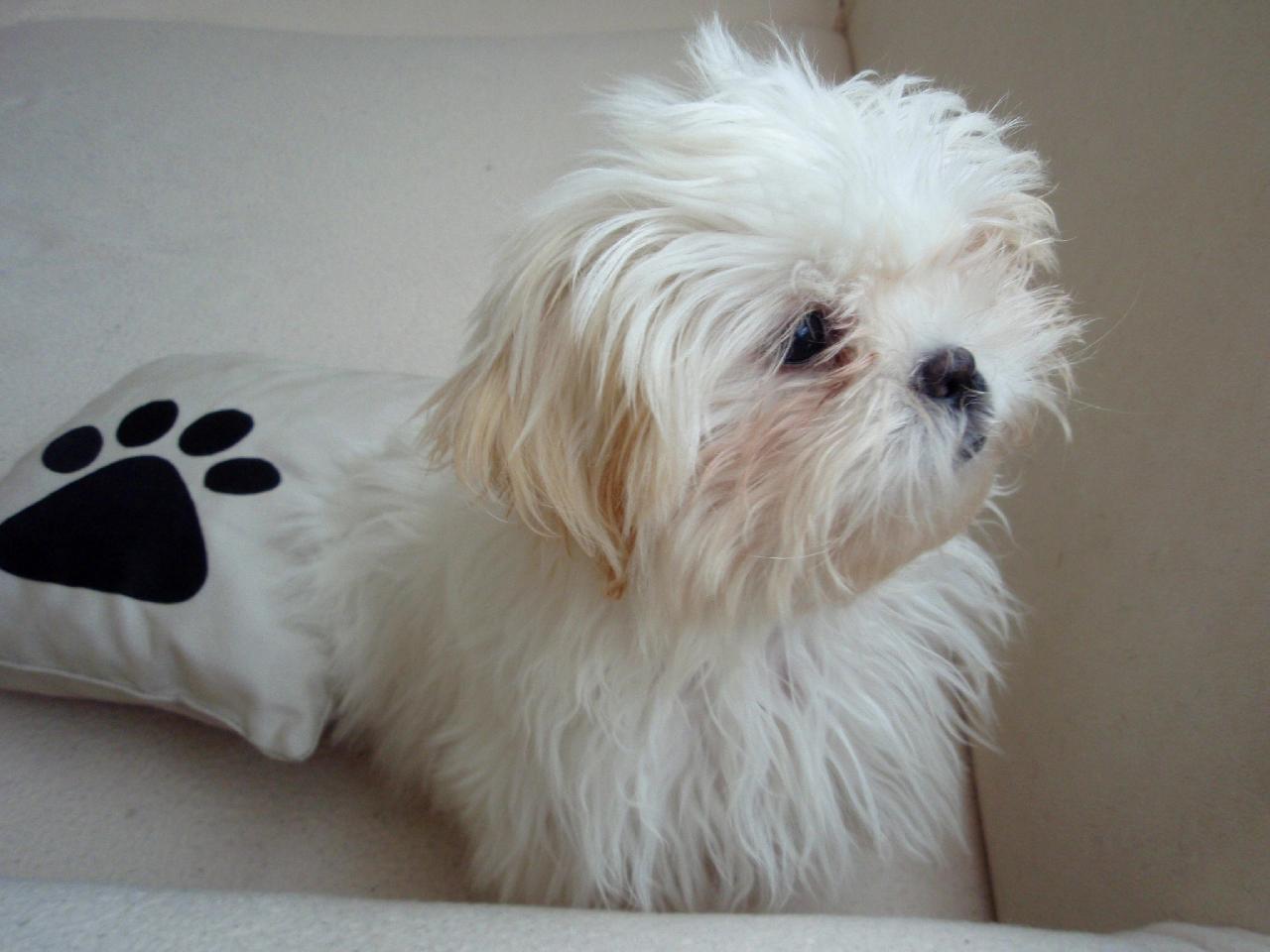 Foto: Zasněná Tinka