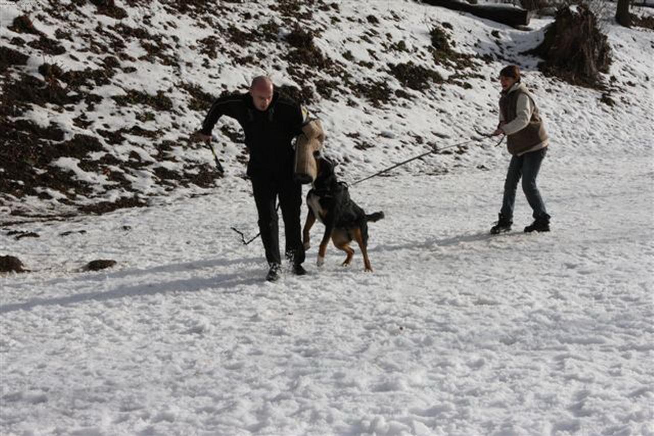 Foto: Angie v akci-i kousat umím